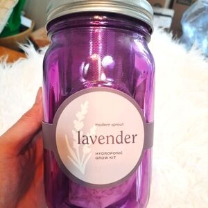 Lavender Hydroponic Jar kit